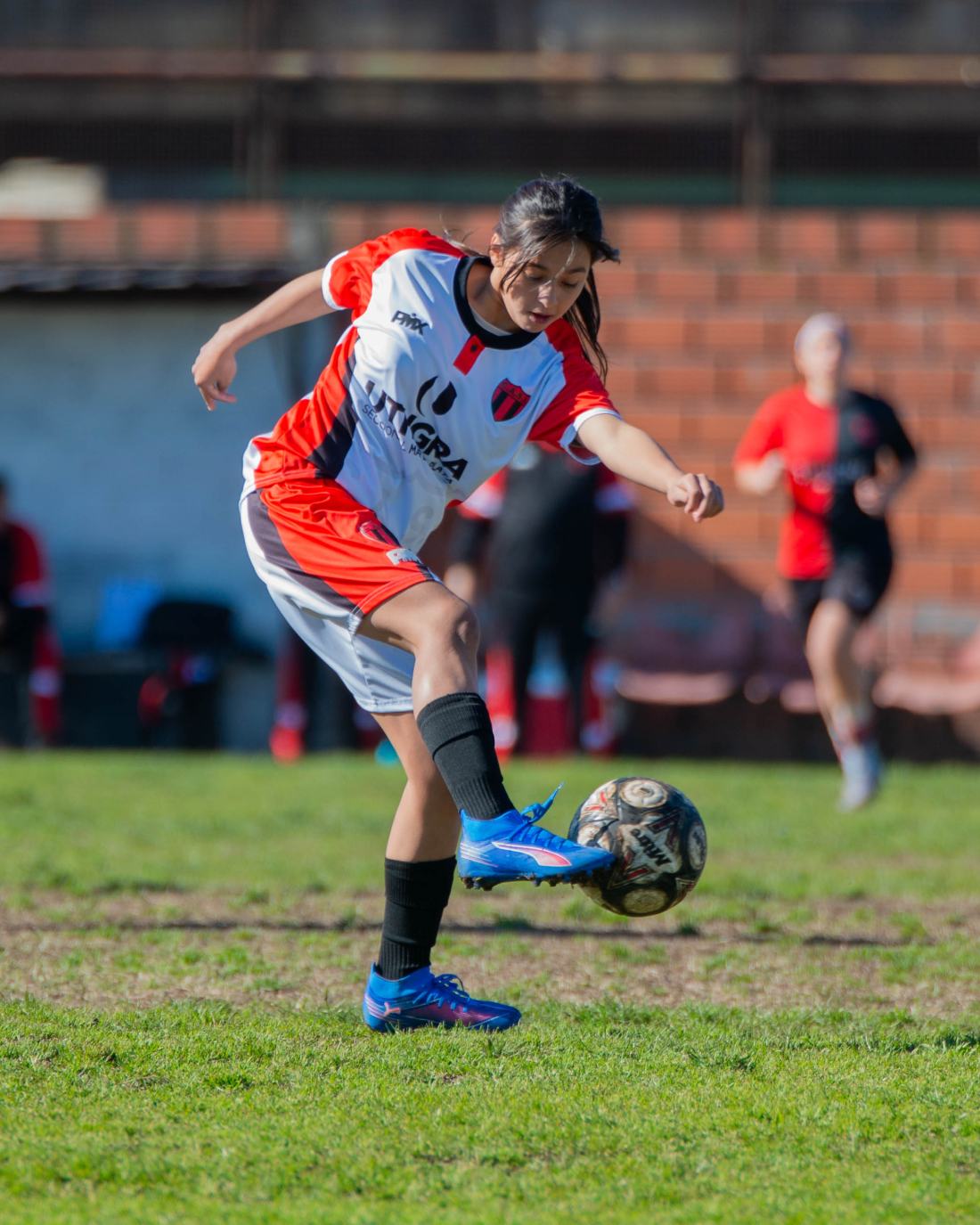 Torneo Inicio: San José vs. San Lorenzo