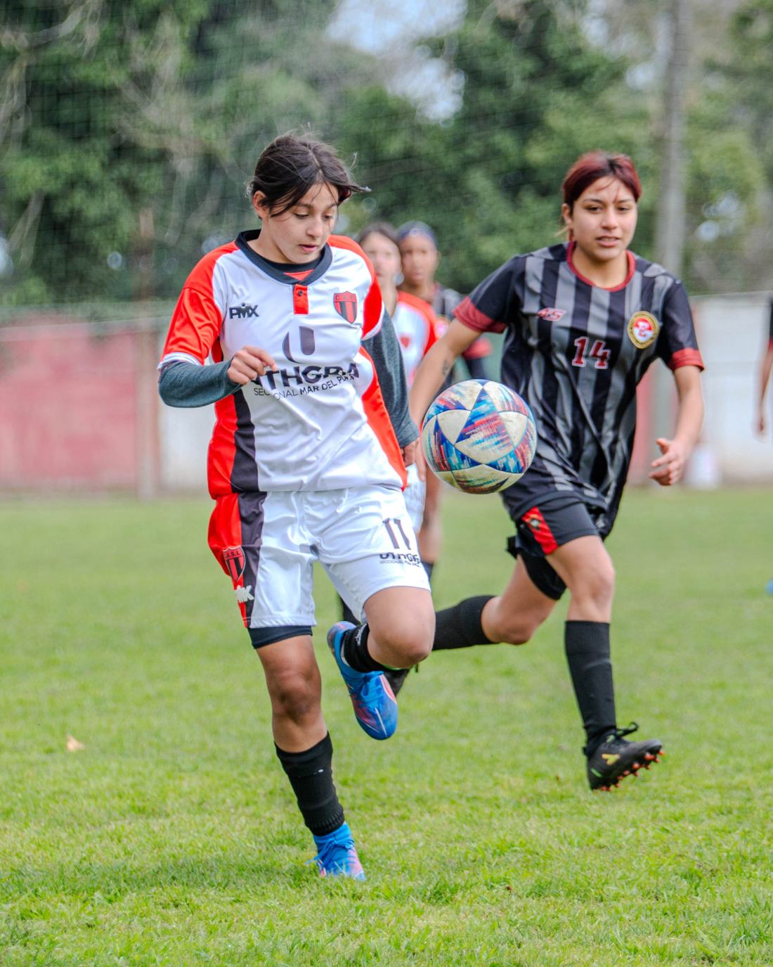 Torneo Coronación: Estudiantes vs. San Lorenzo