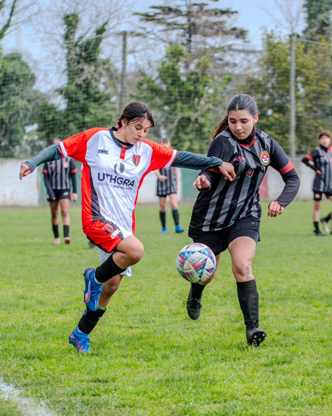 Torneo Coronación: Estudiantes vs. San Lorenzo