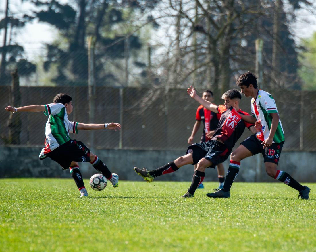 Torneo Clausura: San Lorenzo vs. Urquiza