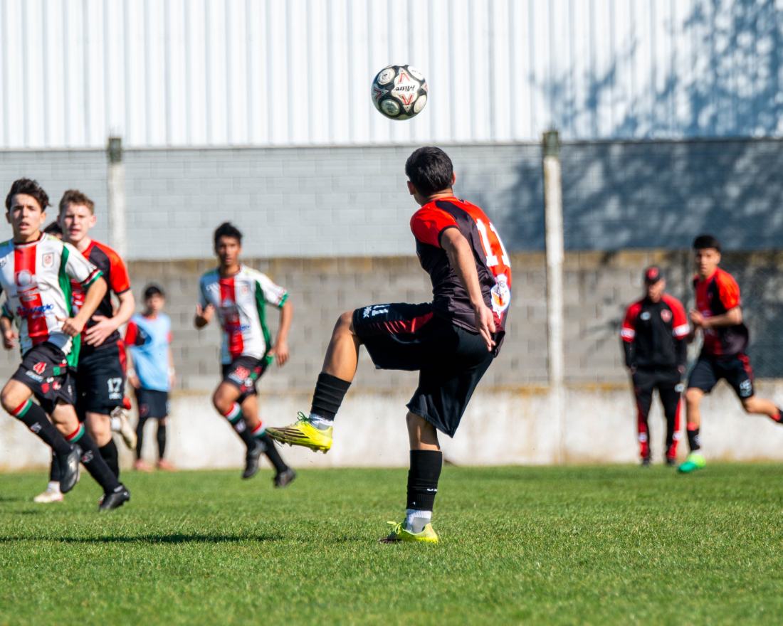 Torneo Clausura: San Lorenzo vs. Urquiza