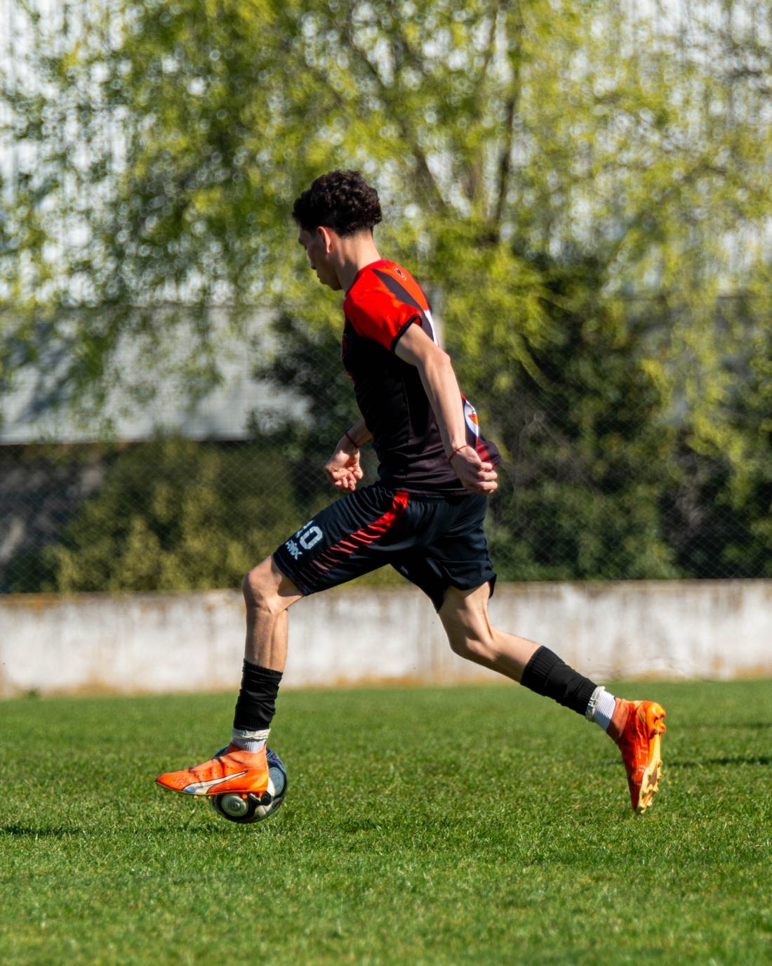 Torneo Clausura: San Lorenzo vs. Urquiza