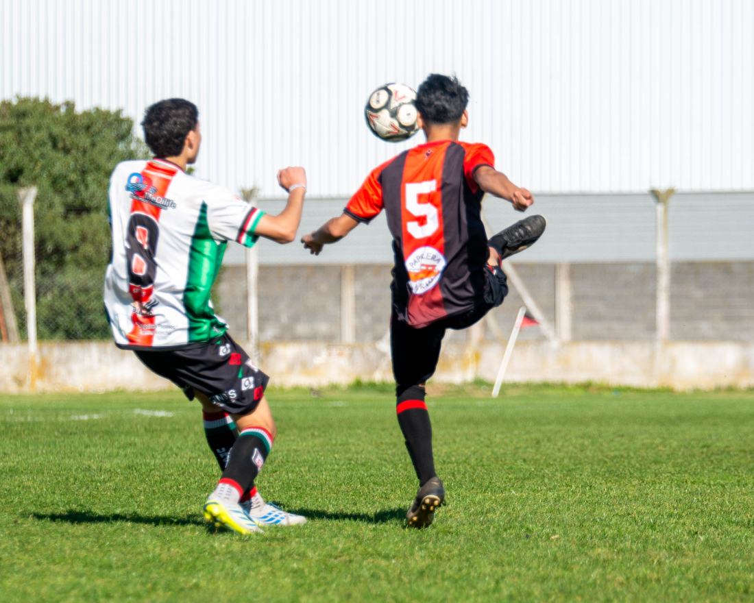 Torneo Clausura: San Lorenzo vs. Urquiza